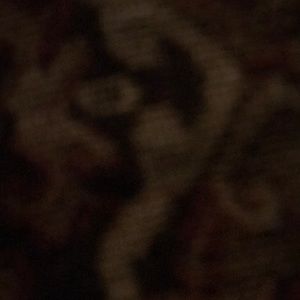 Meet your Posher, Kala